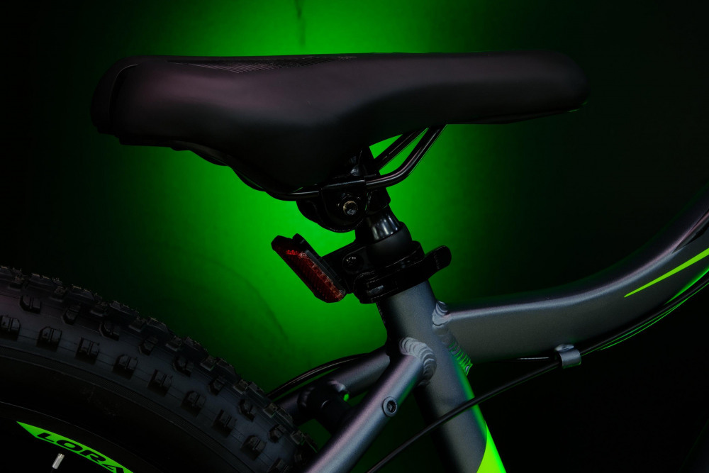 LORAK Safe PLUS 24 Серебристый/Зелёный